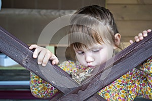 Cute young child girl playing with a frog toad