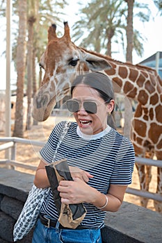 Cute young Chinese woman is feeding giraffe in the Zoo