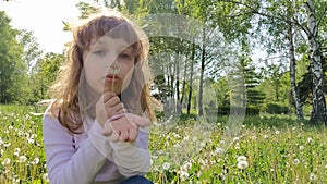 Cute young girl draws air into her chest and blows off white fluffy dandelion seeds. A child with blond hair is dressed in a white