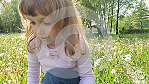 Cute young girl draws air into her chest and blows off white fluffy dandelion seeds. A child with blond hair is dressed in a white