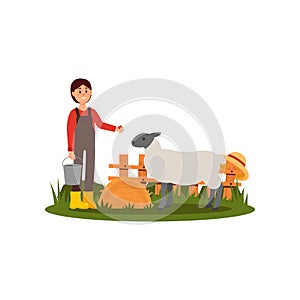 Cute young girl feeding sheep on farmyard. Farmer woman in shirt, overall and rubber boots. Wooden fence on background