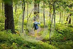 Cute young girl having fun during forest hike on beautiful summer day. Child exploring nature