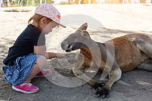 Cute young girl and kangaroo in the zoo in Israel