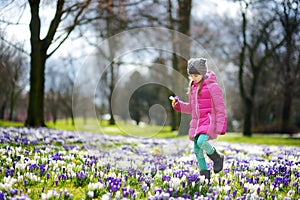 Cute young girl picking crocus flowers on beautiful blooming crocus meadow