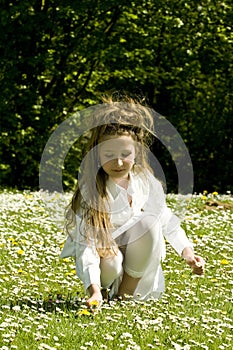 Cute young girl picking flowers