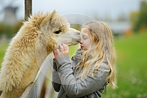 Cute young girl stroking an alpaca at a farm zoo on autumn day. Child feeding a llama on an animal farm. Kid at a petting zoo at