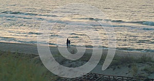 A cute young guy and a girl are walking with a dog along the coastline in the fall. Stormy sea, wind, autumn, waves