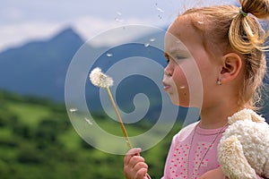 Cute young little girl blowing dandelion in sunny day.