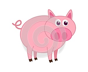 A cute and young pink pig on a white background - vector