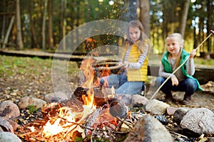 Cute young sisters roasting hotdogs on sticks at bonfire. Children having fun at camp fire. Camping with kids in fall forest