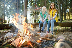 Cute young sisters roasting hotdogs on sticks at bonfire. Children having fun at camp fire. Camping with kids in fall forest