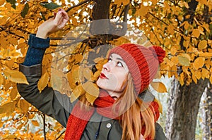 A cute young woman plucks leaves from a tree in the park. Atmospheric bright autumn photo