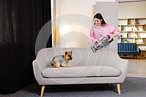 A cute young woman is vacuuming a couch with her cute dog sitting on it. Concept cleaning at home