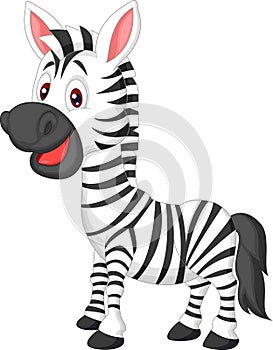 Cute zebra cartoon