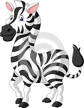 Cute zebra cartoon