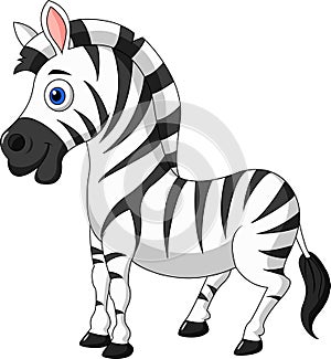 Cute zebra cartoon photo