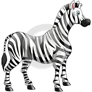 Cute zebra cartoon isolated on white background.