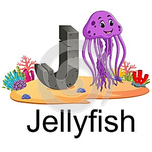 Cute zoo animal alphabet J for jelly fish with real animal