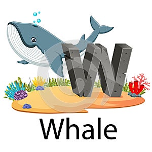 Cute zoo animal alphabet W for Whale with the good animation