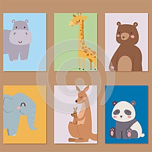 Cute zoo cartoon animals cards funny wildlife learn cute language and tropical nature safari mammal jungle tall