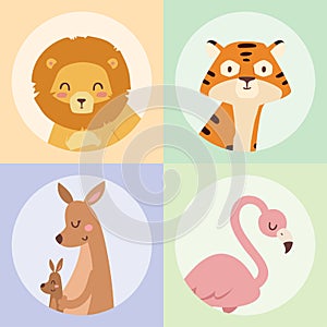 Cute zoo cartoon animals isolated funny wildlife learn cute language and tropical nature safari mammal jungle tall