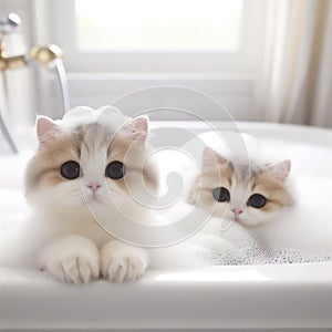 Cutie cat in bathtub full of soap. ai generative