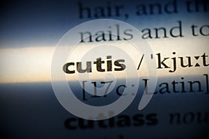 Cutis