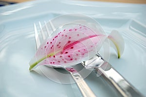 Cutlery on plate with lilium photo