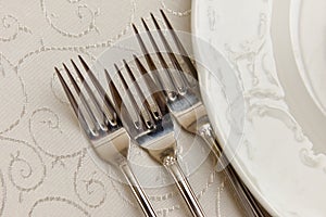 Cutlery and plate on the table