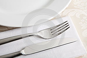 Cutlery with portion of dinner plate