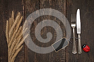 Cutlery with stone Ladybug on old table