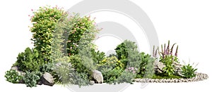 Cutout flowerbed for garden design