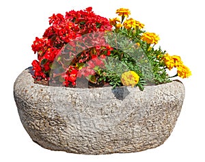 Cutout flowers in pot. Red and yellow flowers