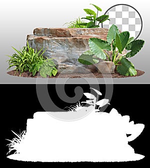 Cutout garden design with plants and rock