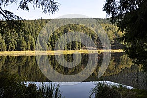 Cutout of the Kleiner Arbersee with quagmire in the Bavarian Forest photo