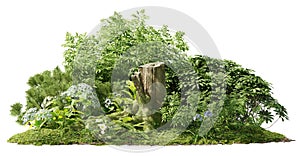 Cutout mossy stump surrounded by vegetation