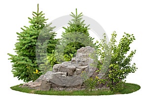 Cutout rock surrounded by pine trees