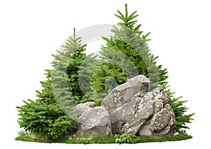 Cutout rock surrounded by pine trees