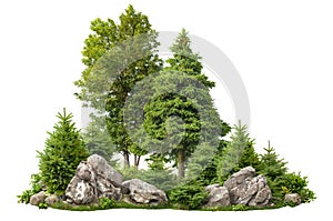 Cutout rock surrounded by pine trees