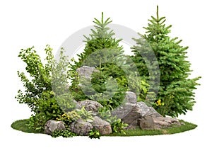 Cutout stones surrounded by pine trees