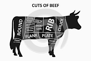 Cuts of beef scheme with cow. Meat cuts poster for butcher shop. Vector.