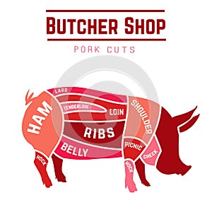 Cuts of pork photo