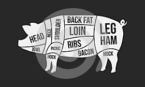 Cuts of pork. Meat cuts. Pig silhouette isolated on black background. Vintage Poster for butcher shop. Retro diagram. Vector illus photo