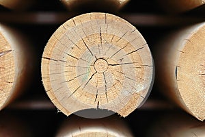 Cutted log