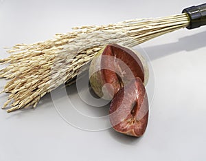 Cutted of Plumcot fruit with red pulp