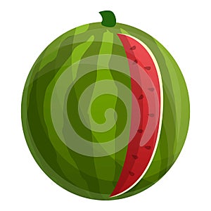 Cutted watermelon icon, cartoon style