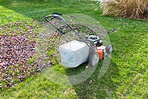 Cutting and bagging grass and leaves in the fall