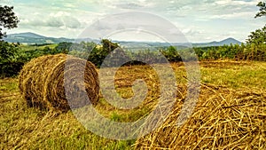 Cutting and bailing hay