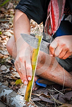 Cutting bamboo for chopsticks,in the Thai jungle