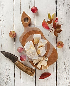 Cutting board with different kinds of cheeses